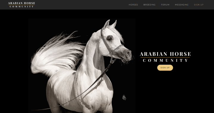 Arabian Horse Community website
