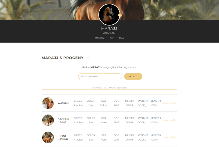 Arabian Horse Pairing application